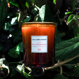 22 Ines de la Fressange Home in Provence Candle